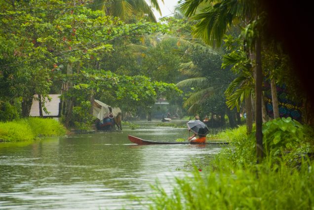 Landscape of Alleppey backwaters with coconut tree and reflection in water, Kerala, India.